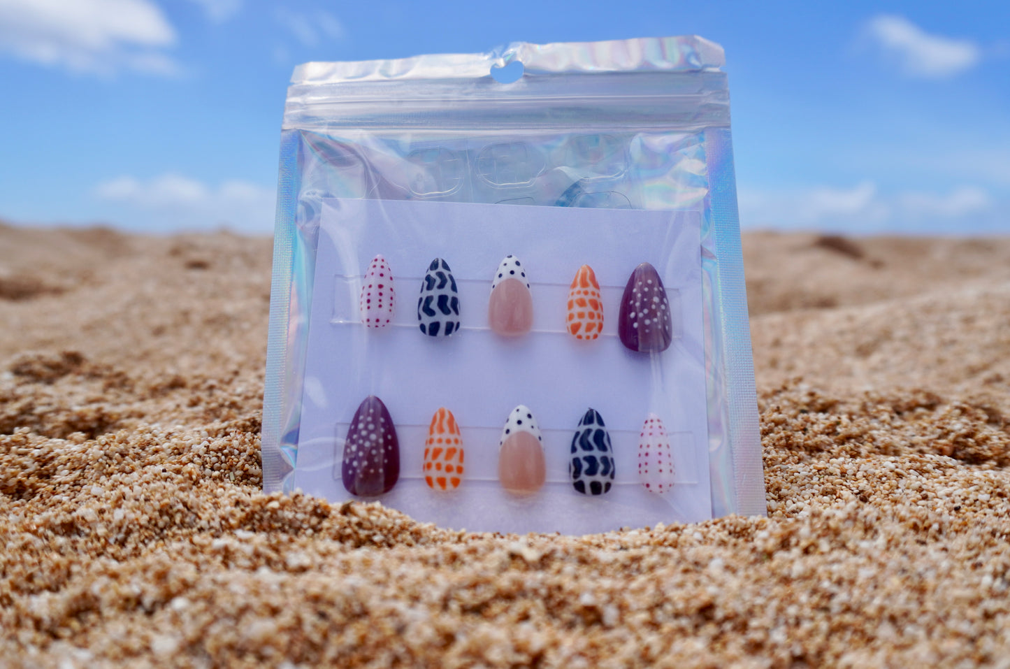 Special Edition Shells