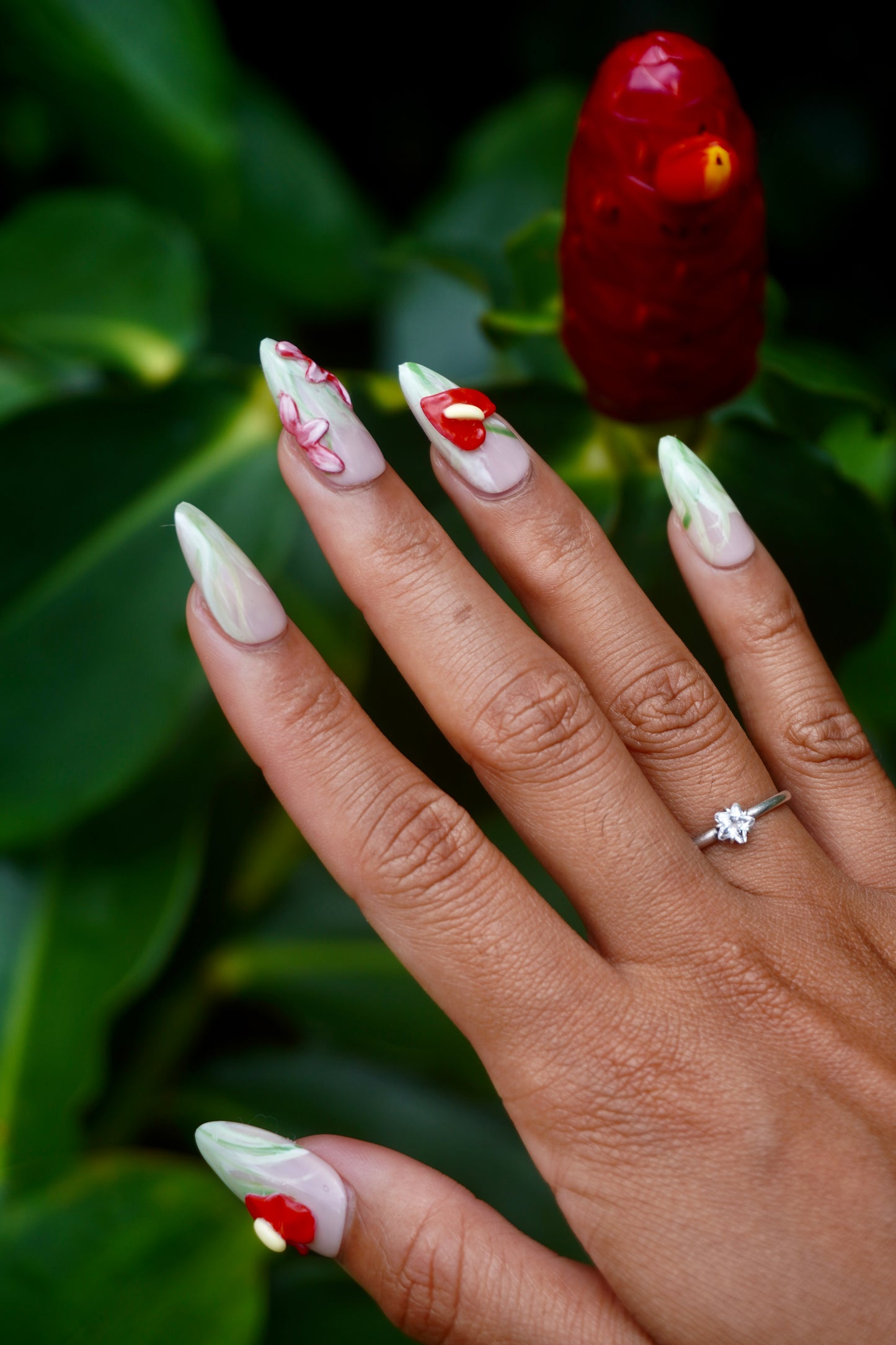 Anthurium