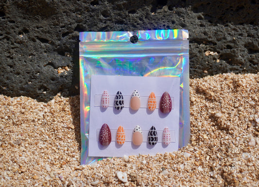 Special Edition Shells